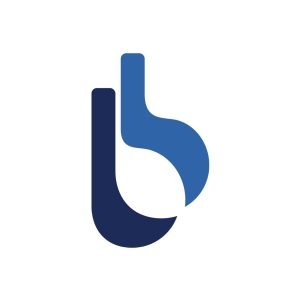 bigblue logo