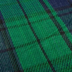 Pikniko pledas Highlander Outdoor Midnight Glen, žalias