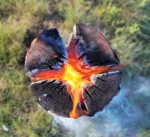 Lauko viryklė – švediškas deglas Agnis M - Image 2