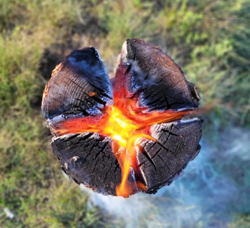 Lauko viryklė – švediškas deglas Agnis L Lauko viryklė – švediškas deglas Agnis L